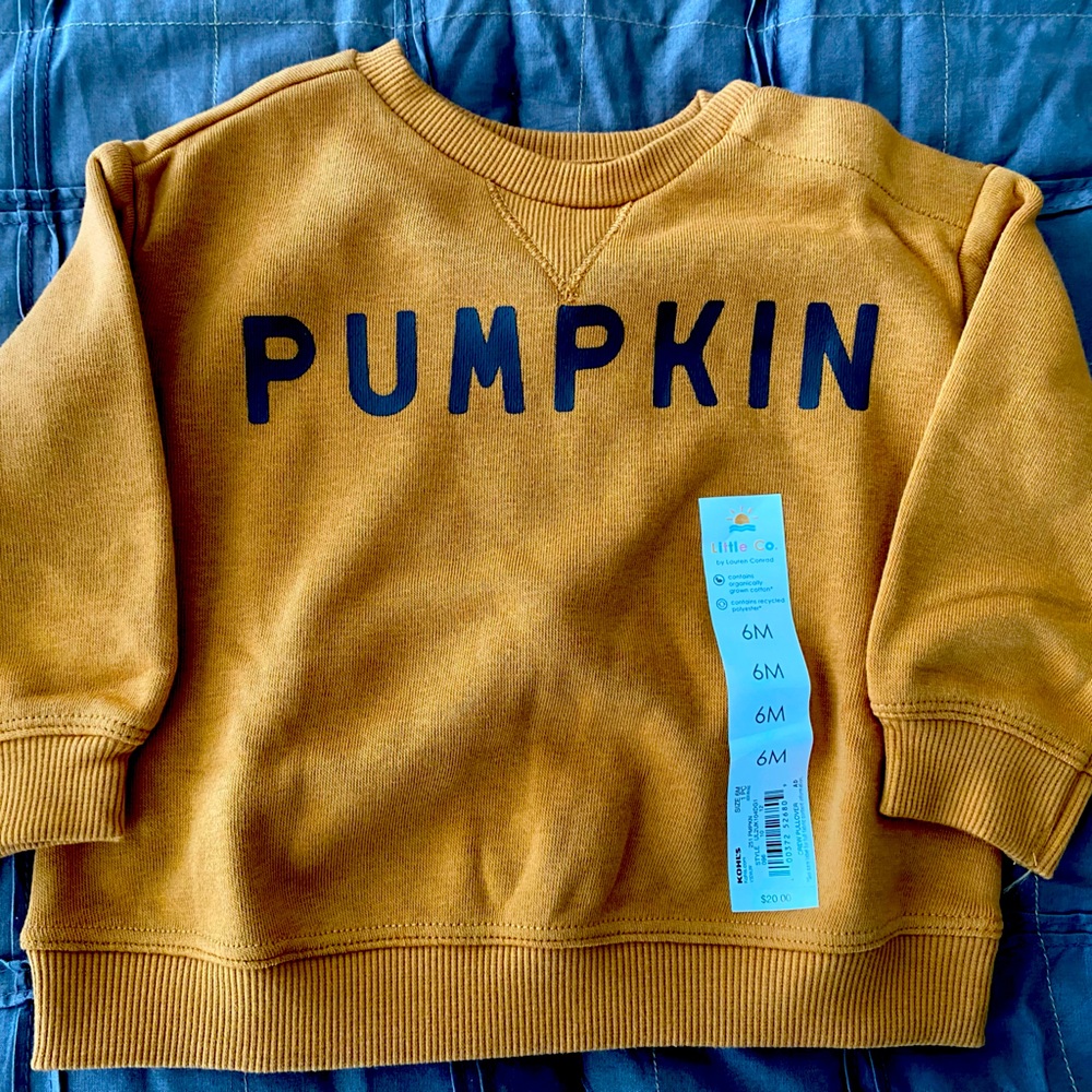 NWT Lauren Conrad Little Co. Pumpkin Sweatshirt Pullover 6 Months